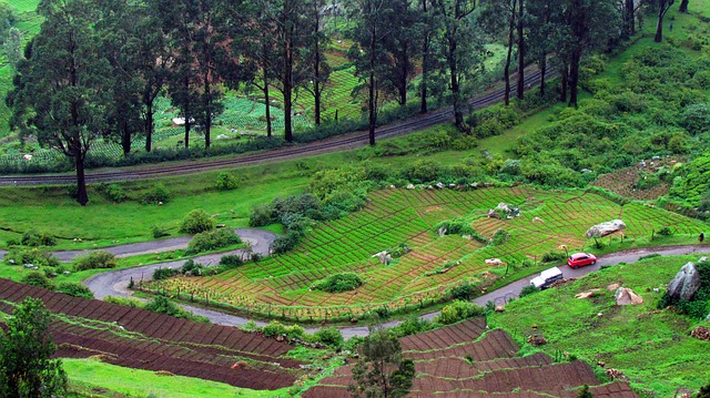 Ooty - Karnataka